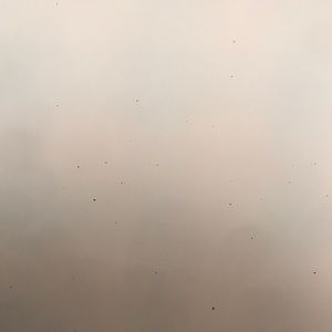 Meet your Posher, Mayes